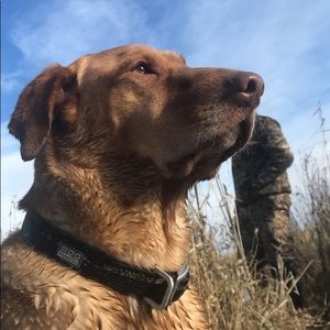 Meet your Posher, Dylan